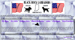 Desktop Screenshot of blackrocklabs.com