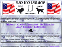 Tablet Screenshot of blackrocklabs.com